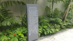 Seventy Saint Patrick's (D15), Condominium #139449662
